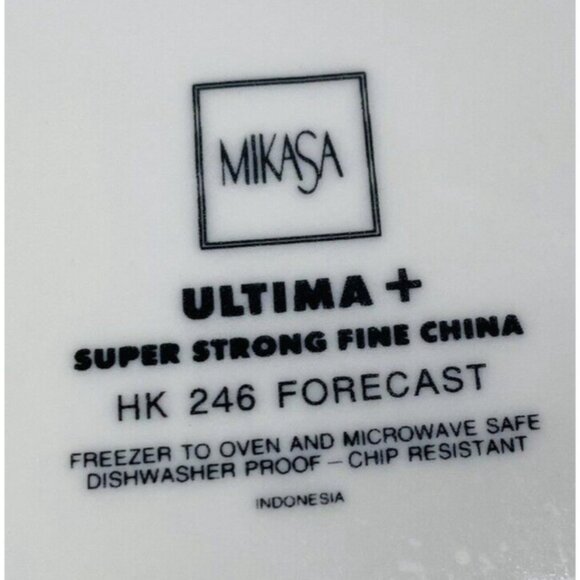 Mikasa HK 246 FORECAST Citrus Strong Chip Resistance China Dinner Plates Set 4 - Picture 10 of 16